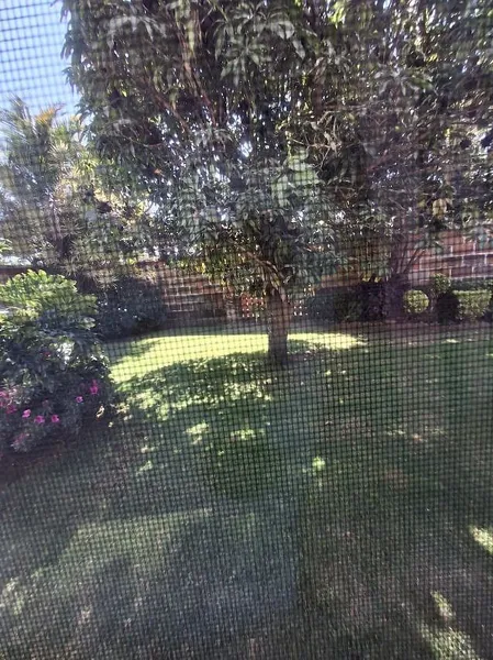 Foto 24