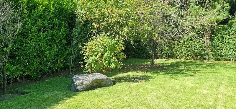Foto 8