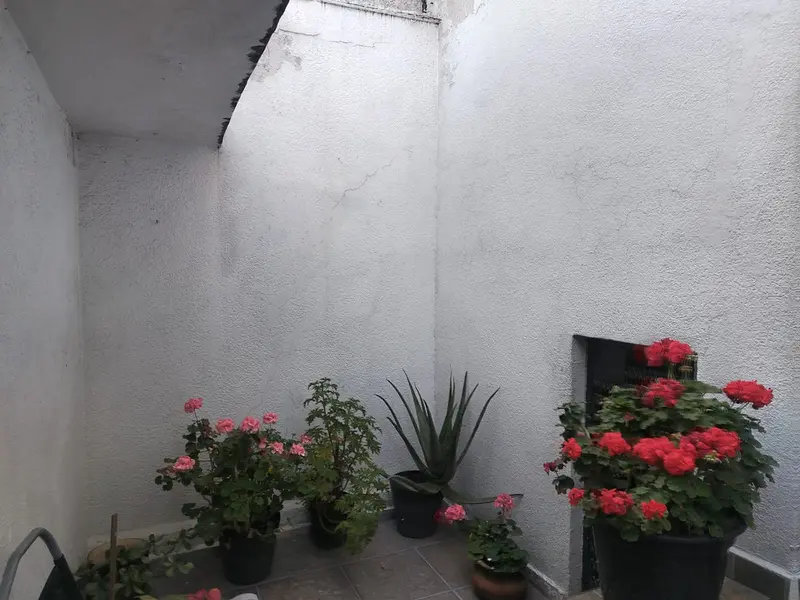 Foto 19