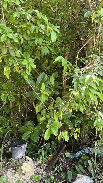 Foto 8