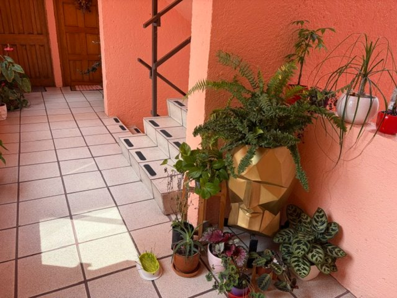 Foto 14