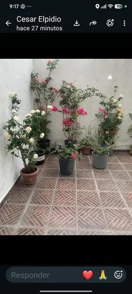 Foto 12