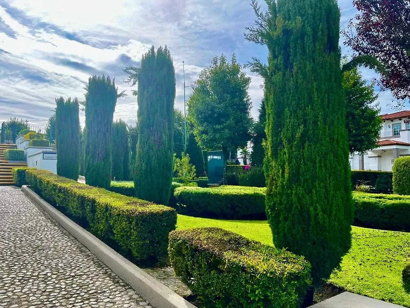 Foto 45