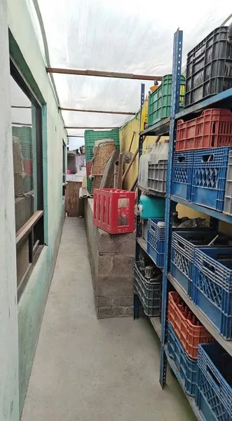 Foto 14