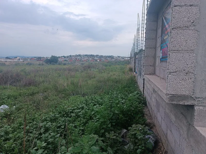 Foto 2