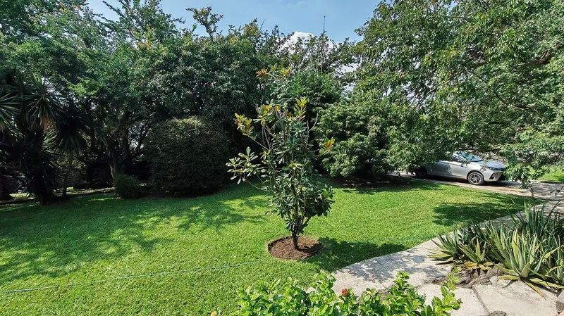 Foto 17