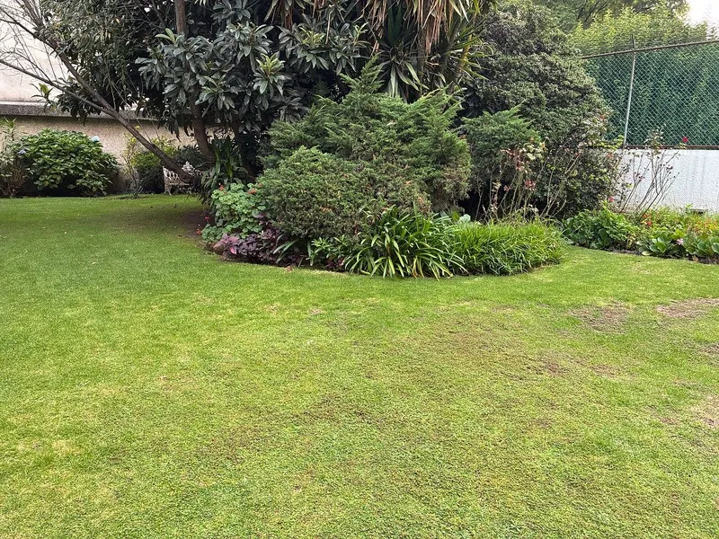 Foto 17