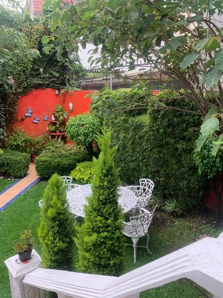 Foto 6