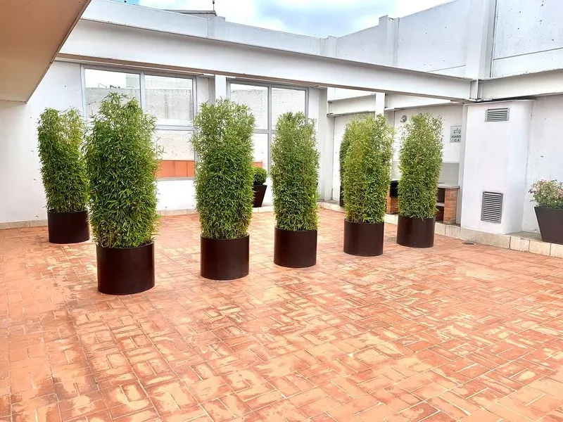 Foto 12