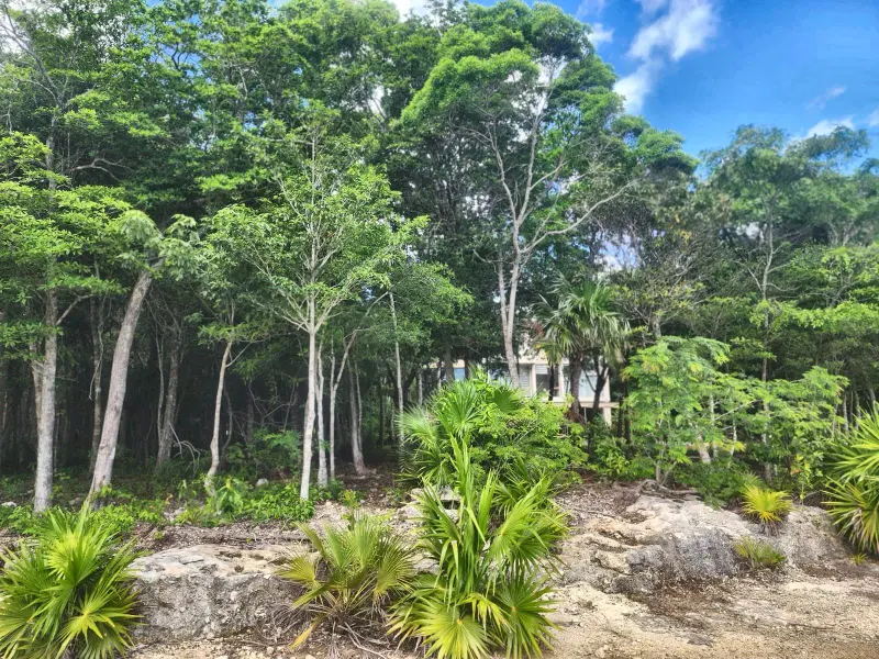Foto 5
