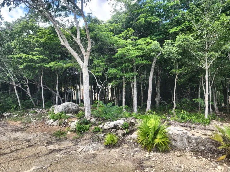 Foto 11