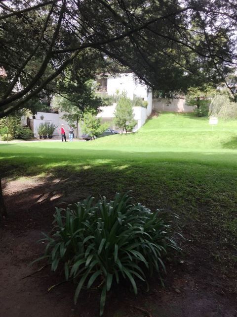 Foto 12