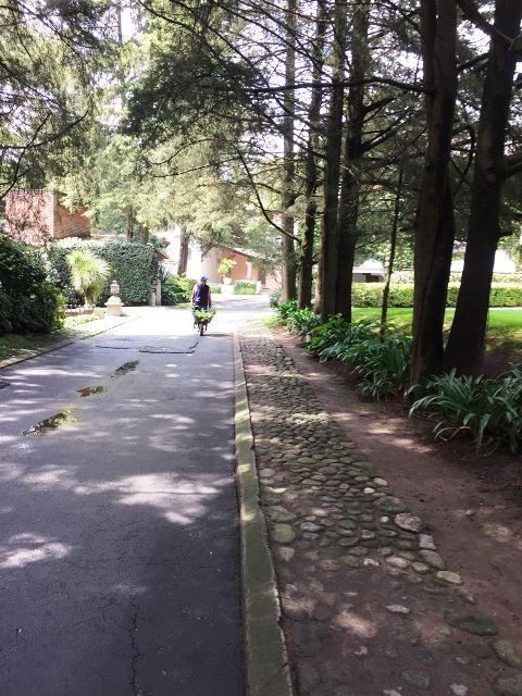 Foto 11