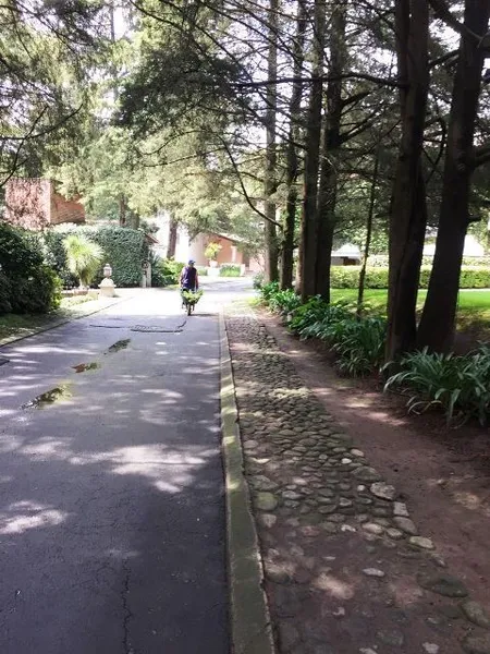 Foto 11