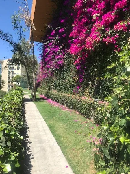 Foto 38