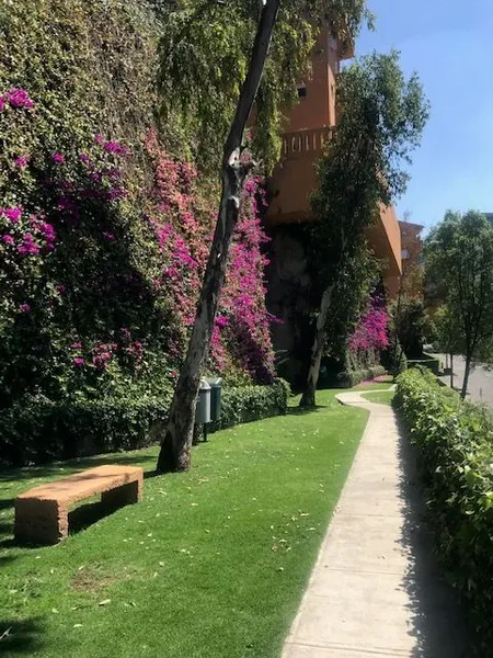 Foto 39