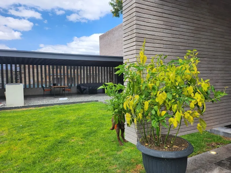 Casa en venta · El Campanario, Santiago de Querétaro, Querétaro Casa en venta · El Campanario, Santiago de Querétaro, Querétaro