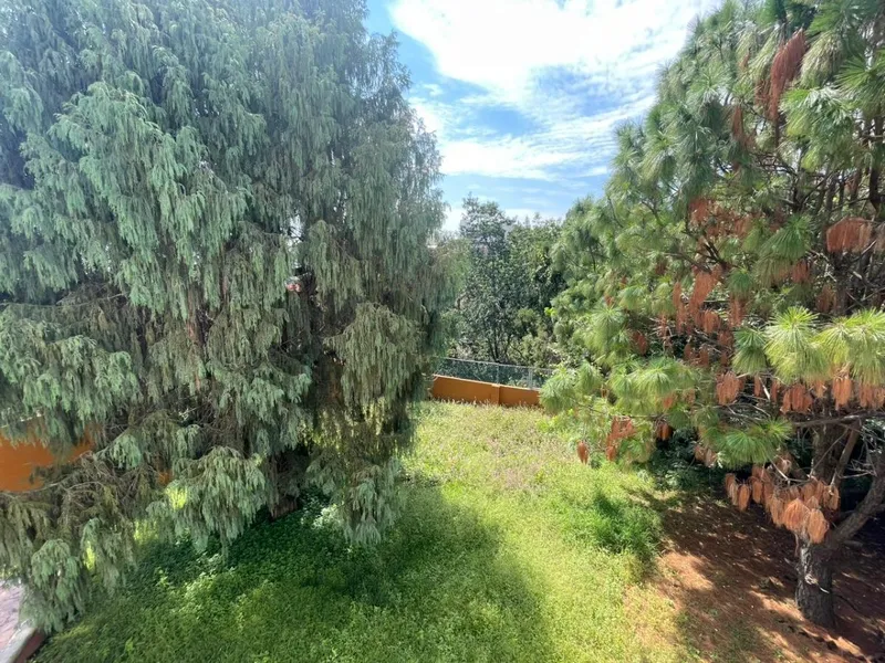 Foto 28