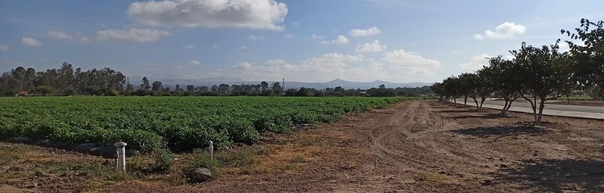Foto 42