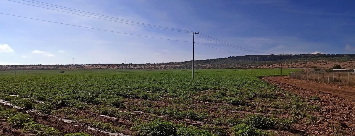 Foto 46