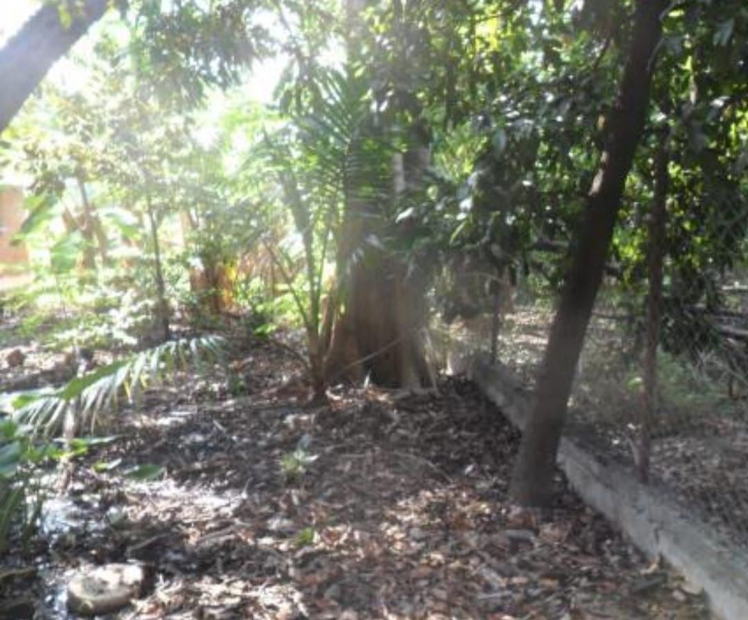 Lote en venta · Morelos, Coatlán del Río, Morelos