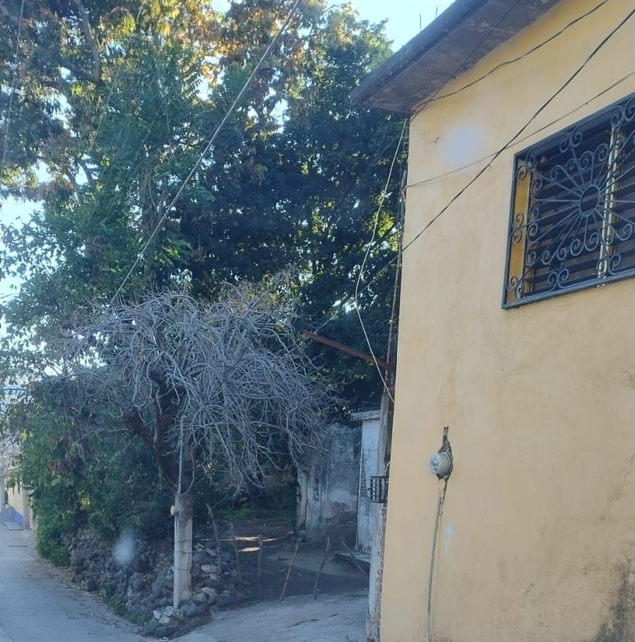 Foto 6