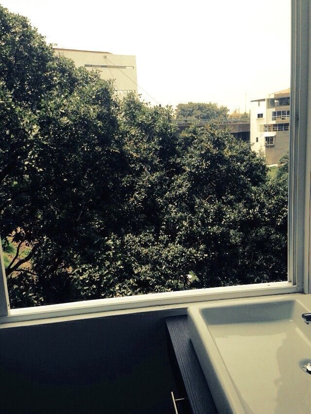 Foto 29