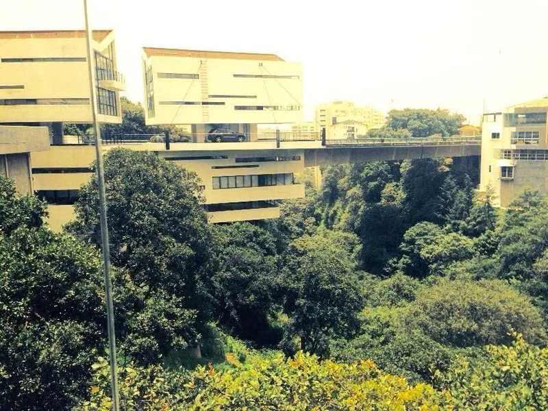 Foto 15