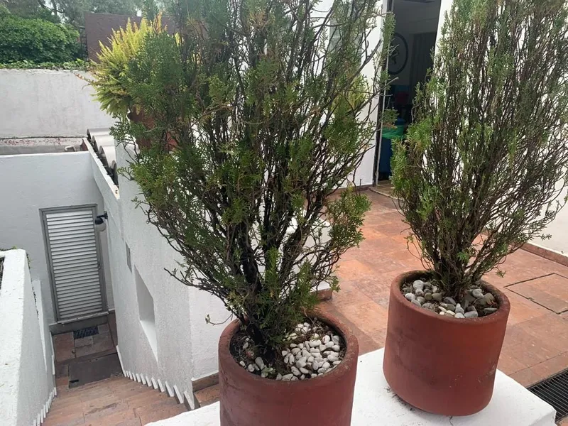 Foto 28