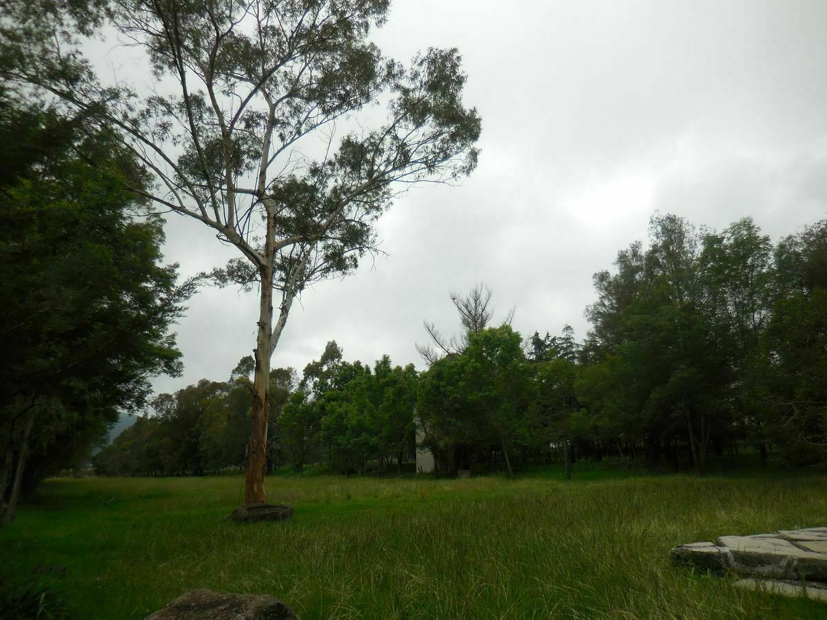 Foto 10
