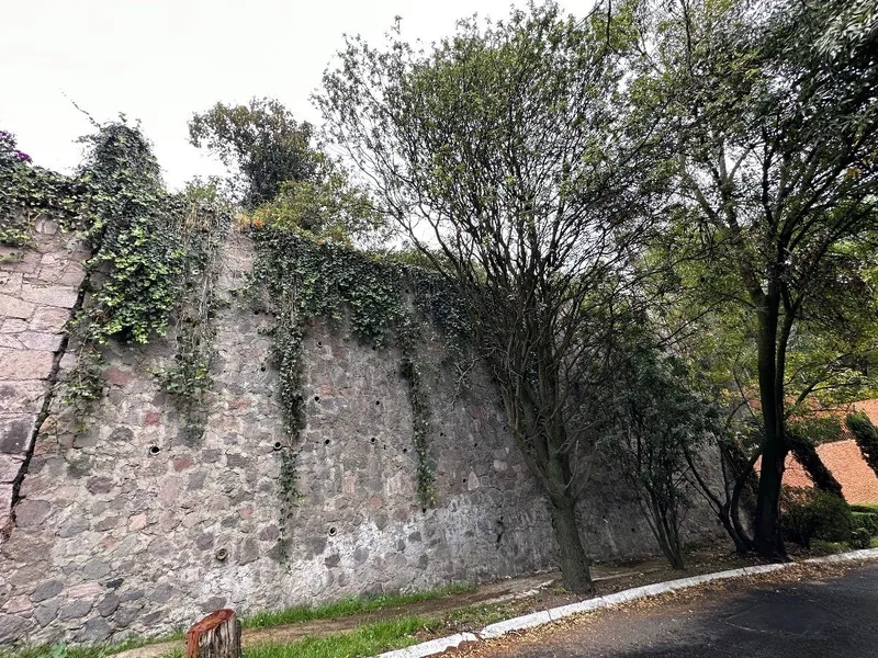 Foto 8