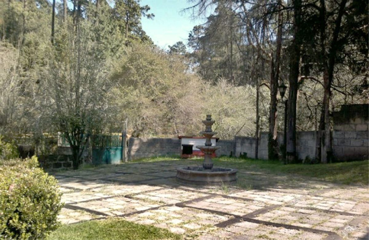 Foto 19