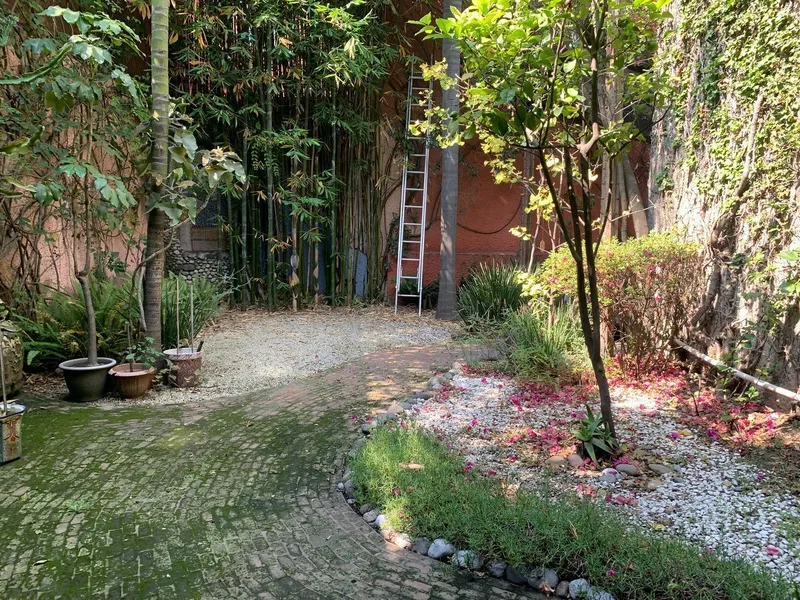Foto 5