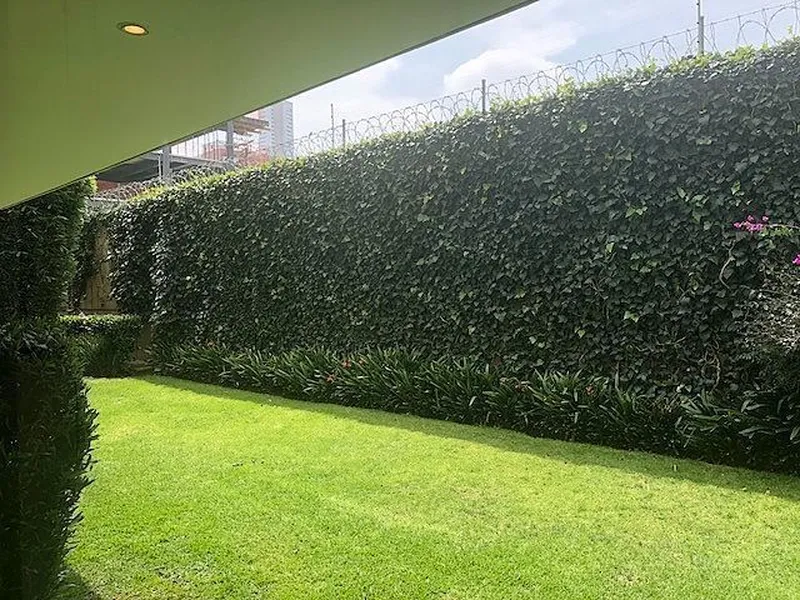 Foto 17