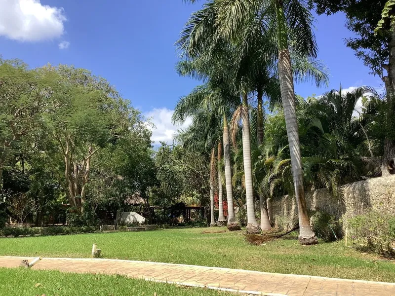 Foto 15