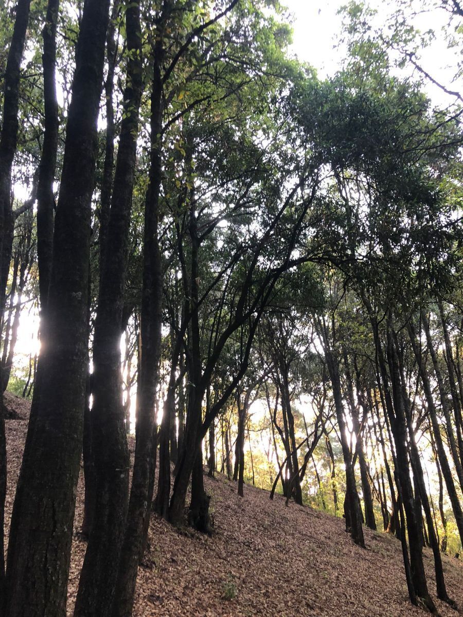 Lote en venta · Cañada de Alférez, Lerma, Estado de México