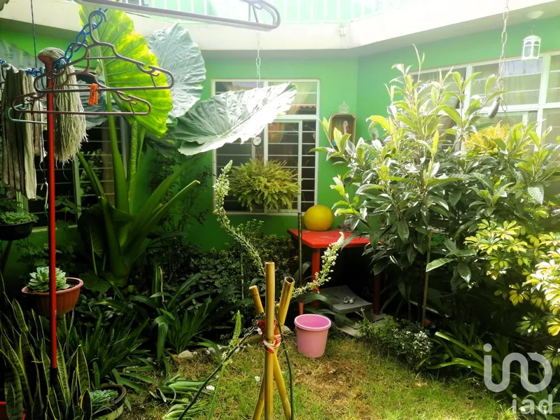 Foto 7