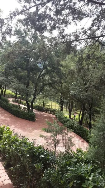 Foto 23