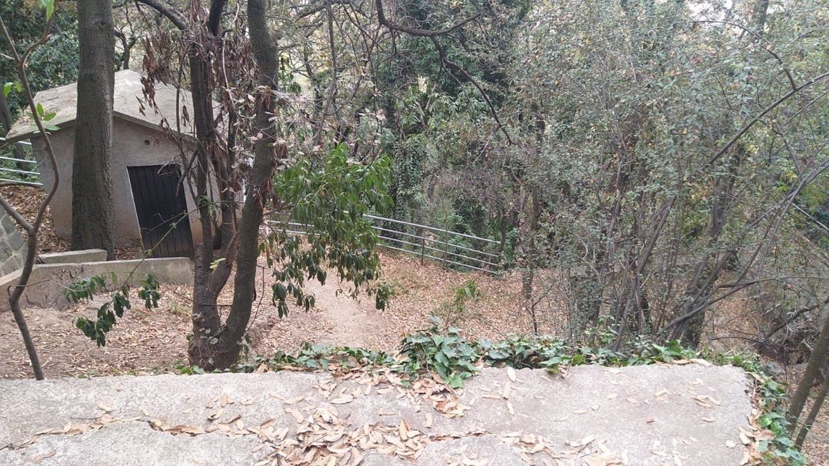Foto 7
