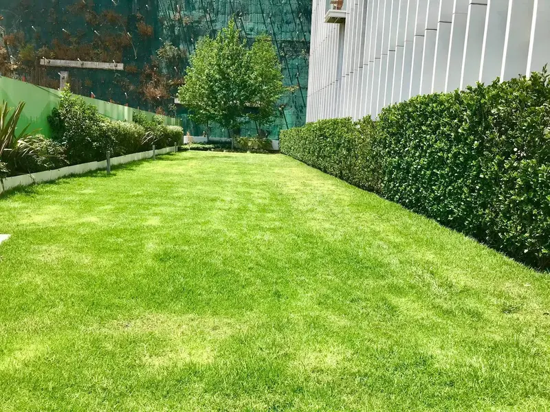 Foto 20