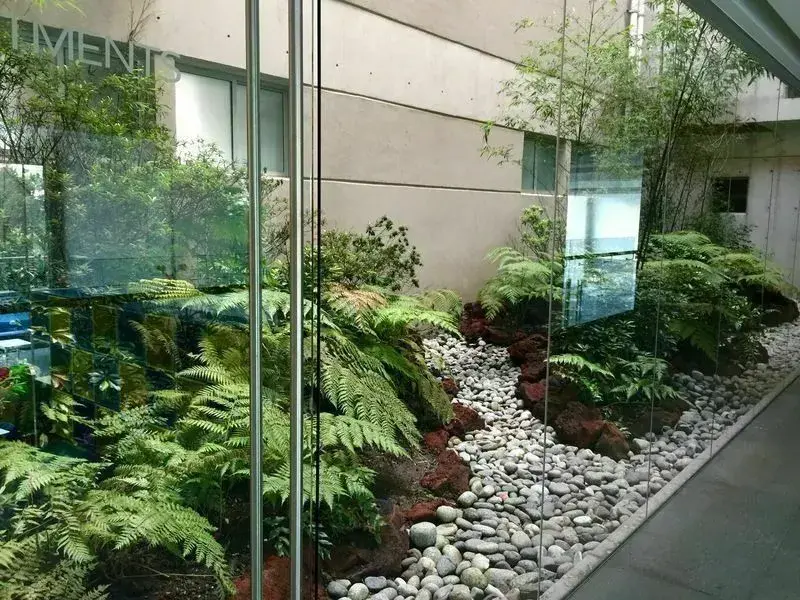 Foto 19