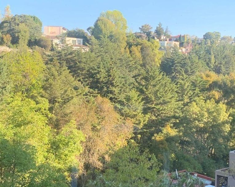 Foto 24