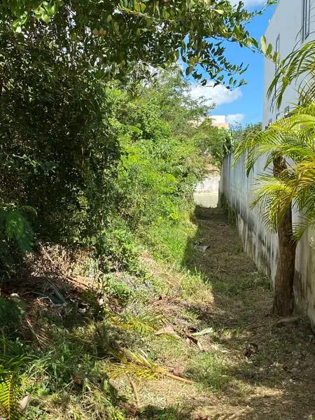 Foto 16