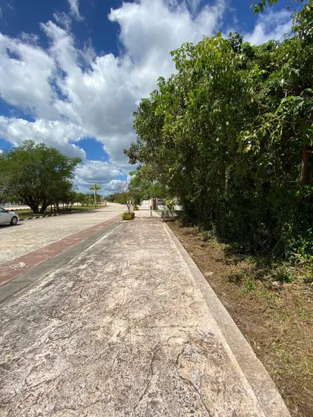 Foto 15