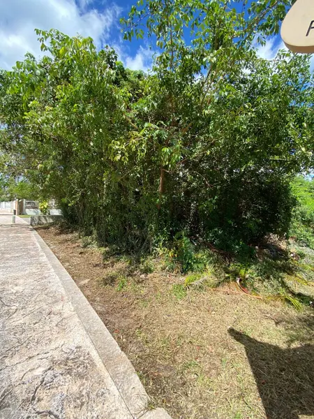 Foto 17