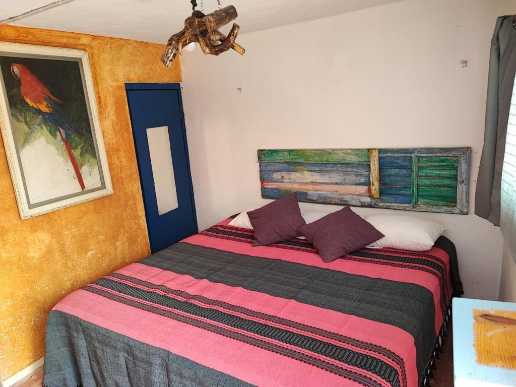 Foto 11