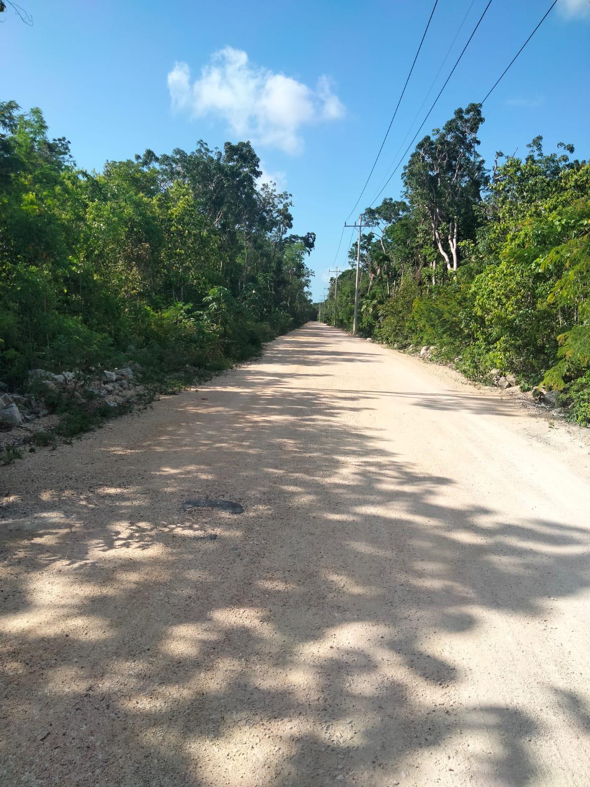 Lote en venta · Tulum, Quintana Roo