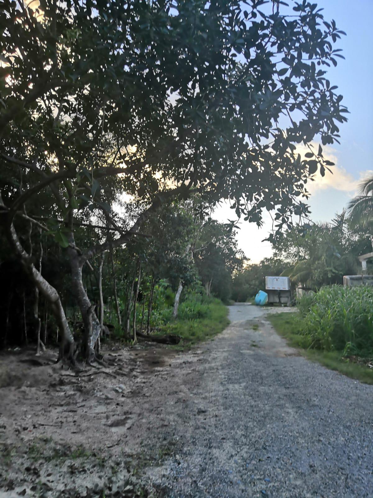 Lote en venta · Colegios, Benito Juárez, Quintana Roo