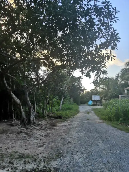 Lote en venta · Colegios, Benito Juárez, Quintana Roo