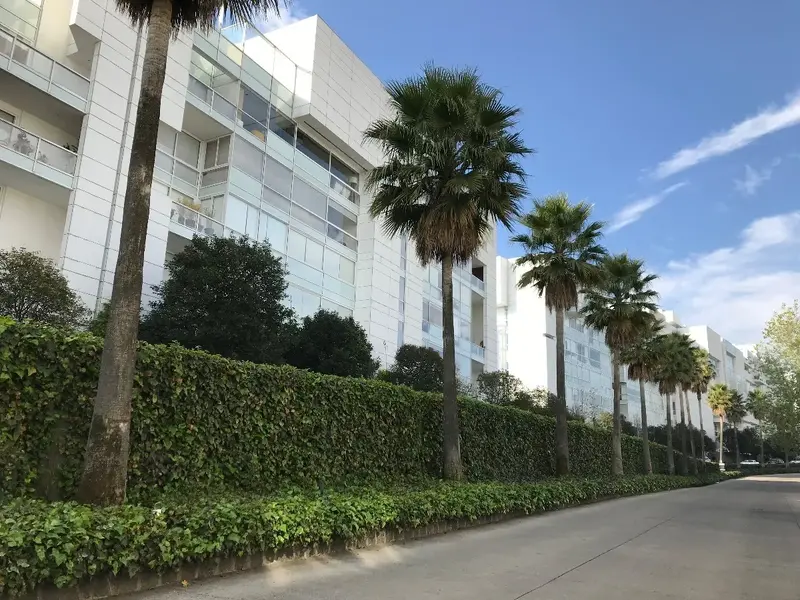 Departamento en venta · Lomas del Pedregal Framboyanes, Tlalpan, Ciudad de México Departamento en venta · Lomas del Pedregal Framboyanes, Tlalpan, Ciudad de México